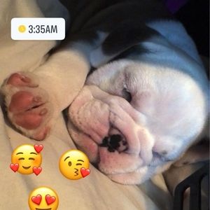 Meet your Posher, Terrell